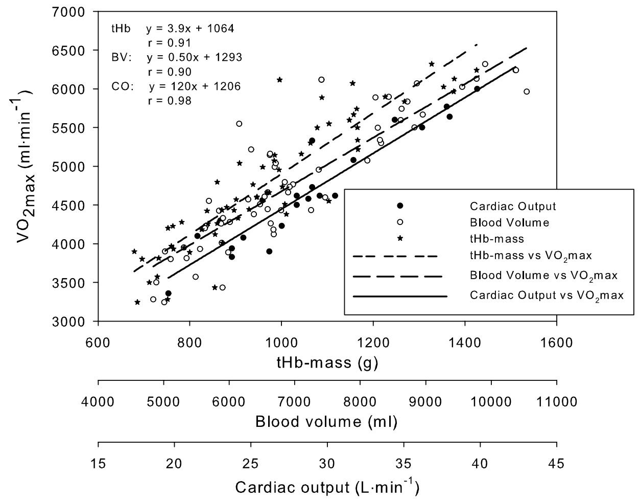 Korrelation Hämoglobin-Masse und VO₂max — Wissenschaftliche Studie