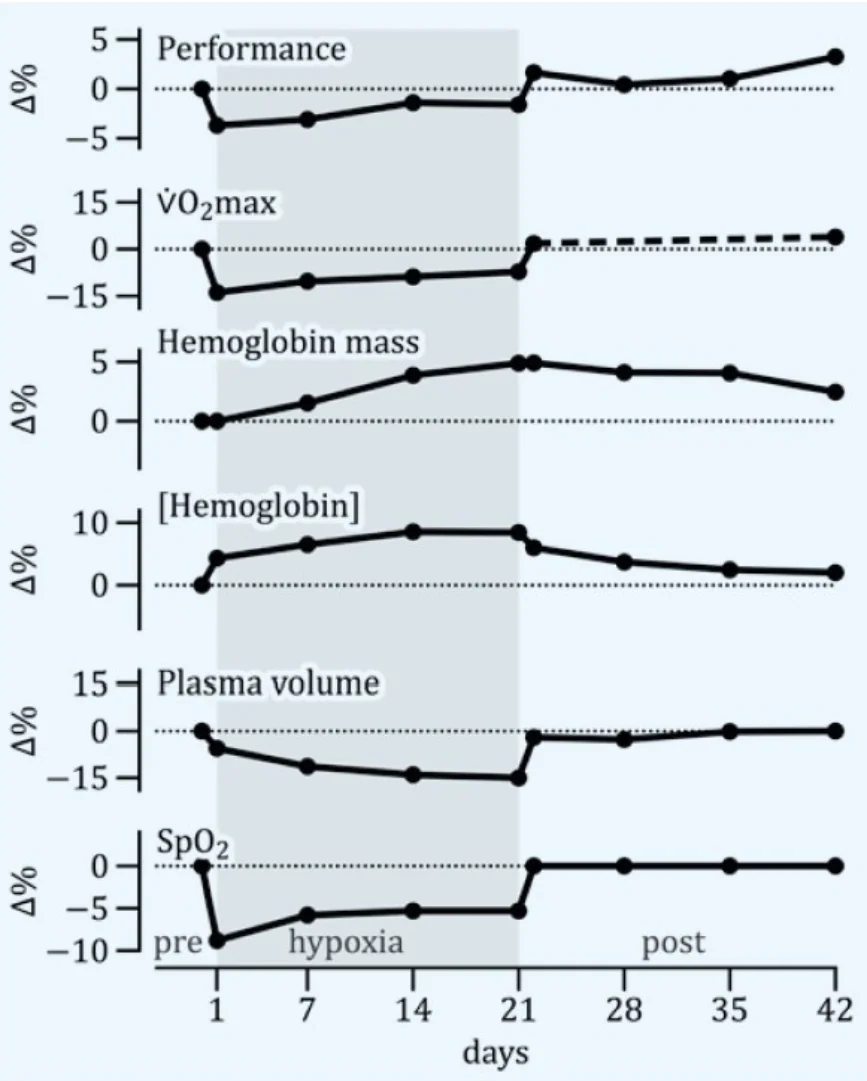 Wissenschaftliche Studien Höhentraining — Verlauf Hämoglobin, VO₂max, Performance